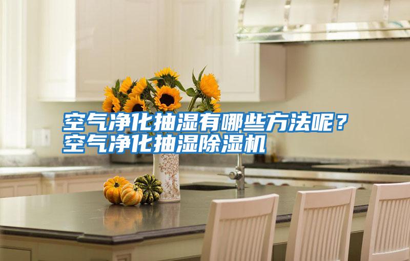 空氣凈化抽濕有哪些方法呢?空氣凈化抽濕除濕機(jī)