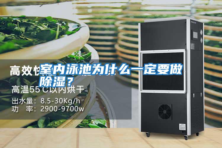 室內泳池為什么一定要做除濕？