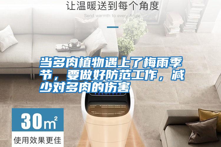 當多肉植物遇上了梅雨季節(jié)，要做好防范工作，減少對多肉的傷害