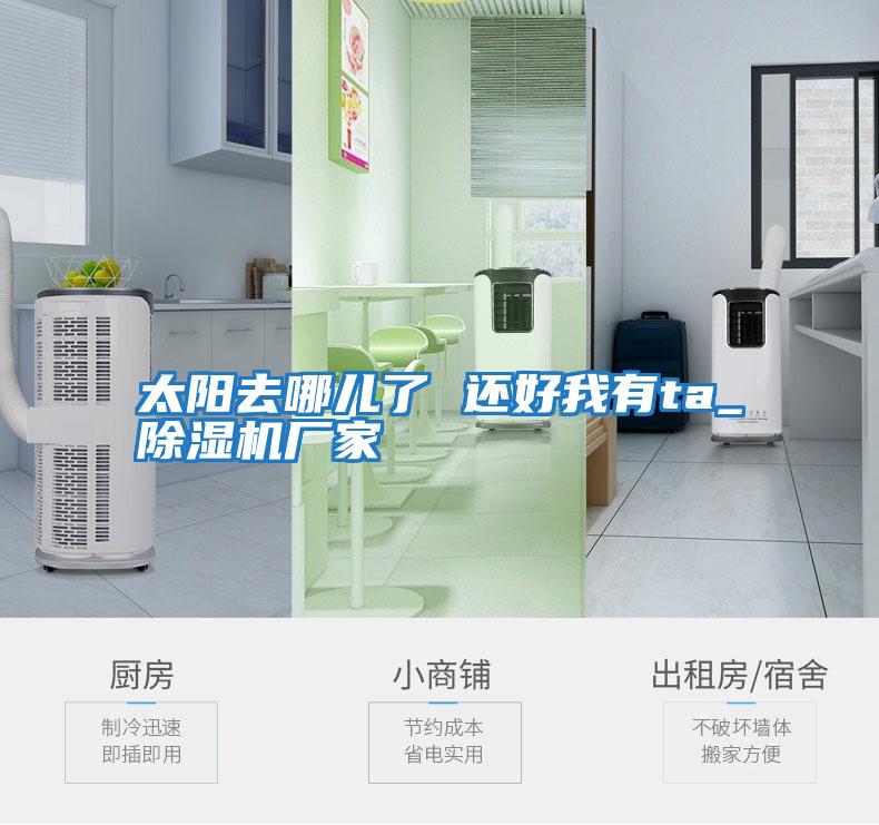 太陽(yáng)去哪兒了 還好我有ta_除濕機(jī)廠(chǎng)家