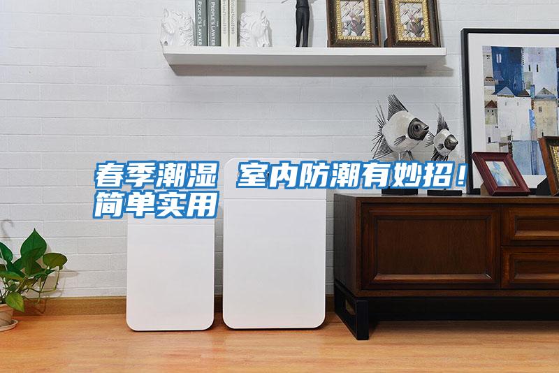 春季潮濕 室內(nèi)防潮有妙招！簡單實用