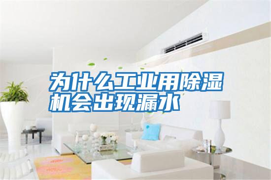 為什么工業用除濕機會出現漏水