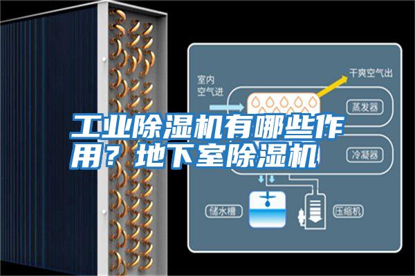 工業(yè)除濕機有哪些作用?地下室除濕機