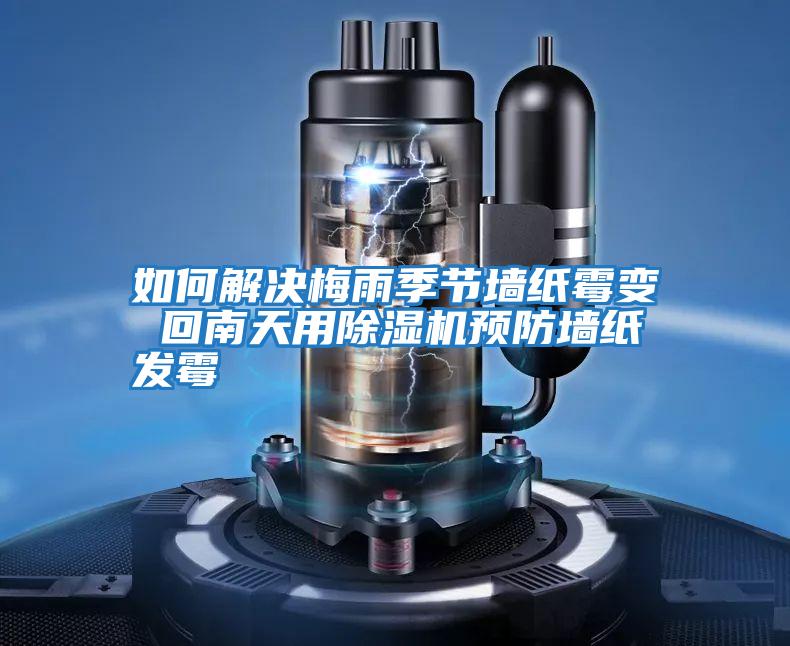 如何解決梅雨季節(jié)墻紙霉變 回南天用除濕機預防墻紙發(fā)霉