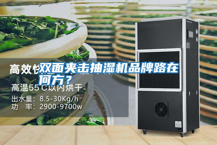 雙面夾擊抽濕機品牌路在何方？
