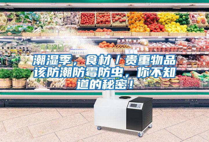 潮濕季，食材／貴重物品該防潮防霉防蟲，你不知道的秘密！