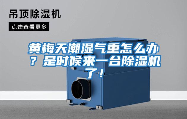 黃梅天潮濕氣重怎么辦？是時(shí)候來一臺(tái)除濕機(jī)了！