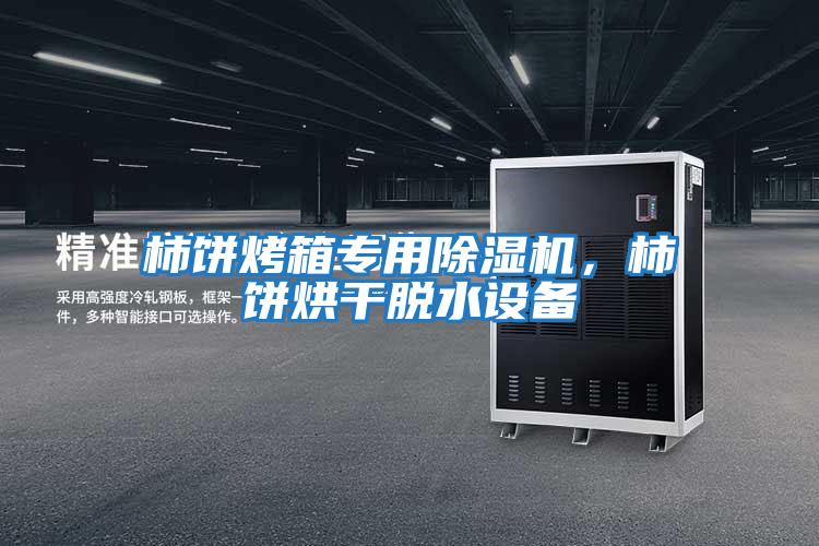 柿餅烤箱專用除濕機，柿餅烘干脫水設備