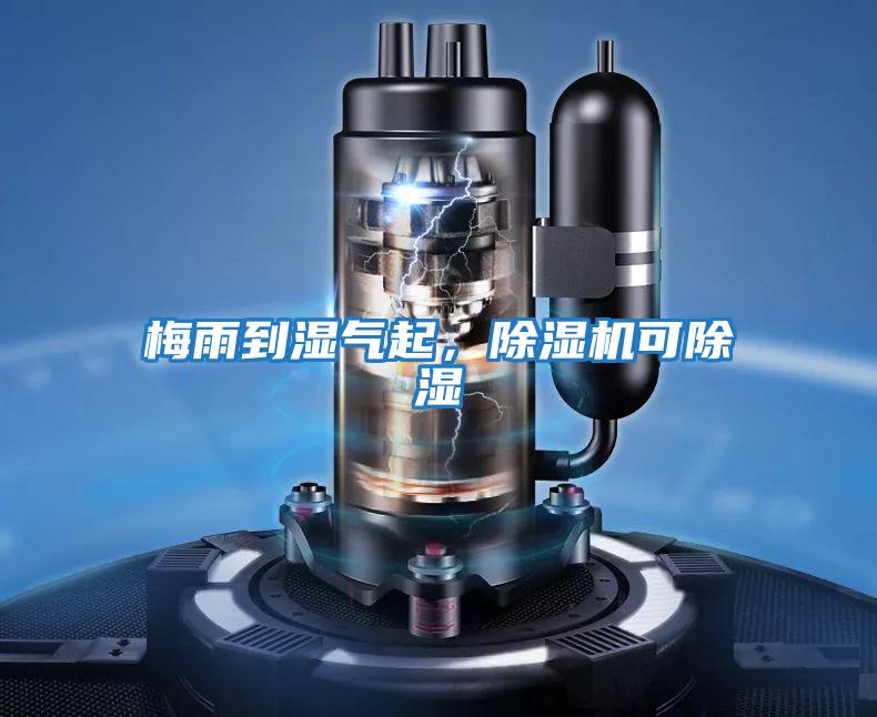 梅雨到濕氣起,除濕機可除濕