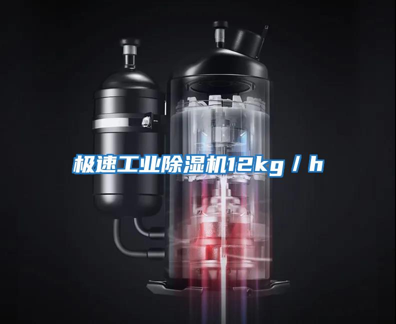 極速工業除濕機12kg/h