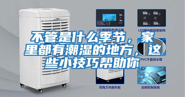 不管是什么季節，家里都有潮濕的地方，這些小技巧幫助你