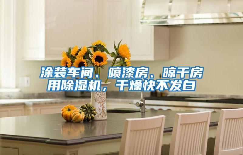 涂裝車間、噴漆房、晾干房用除濕機，干燥快不發白