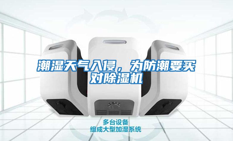 潮濕天氣入侵，為防潮要買對除濕機