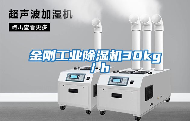 金剛工業除濕機30kg／h