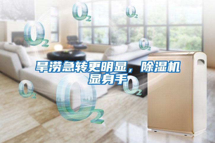 旱澇急轉(zhuǎn)更明顯，除濕機(jī)顯身手