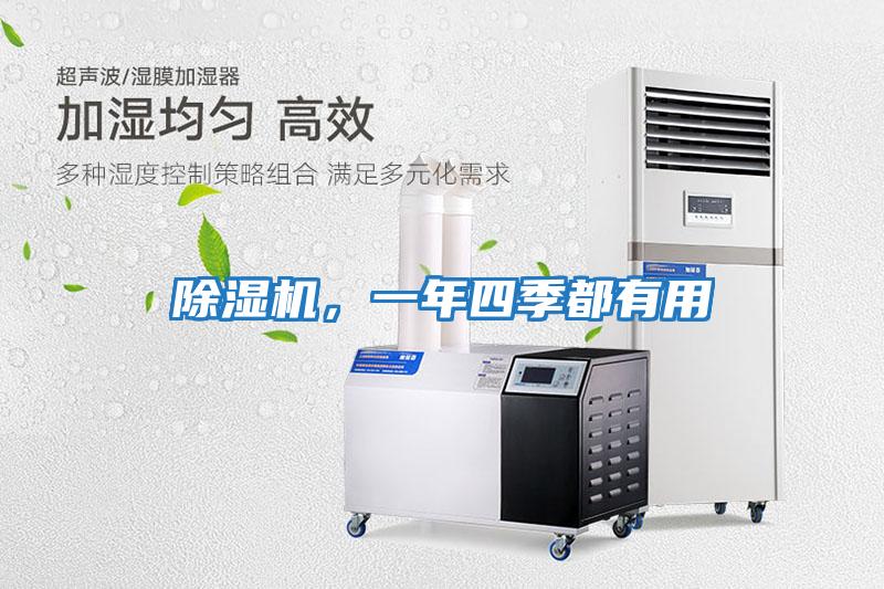 除濕機，一年四季都有用