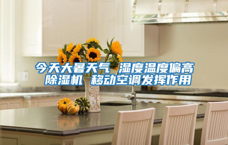 今天大暑天氣 濕度溫度偏高 除濕機 移動空調發揮作用