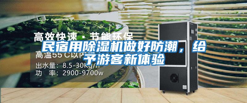 民宿用除濕機做好防潮，給予游客新體驗