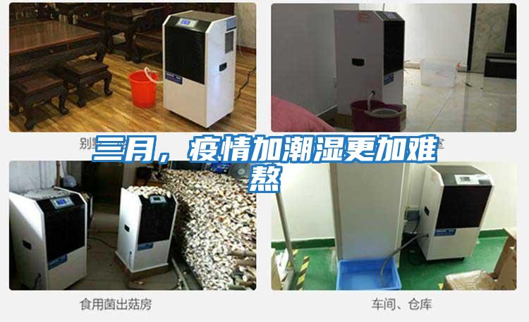 三月，疫情加潮濕更加難熬