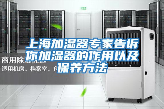 上海加濕器專(zhuān)家告訴你加濕器的作用以及保養(yǎng)方法