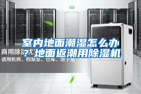 室內地面潮濕怎么辦？地面返潮用除濕機