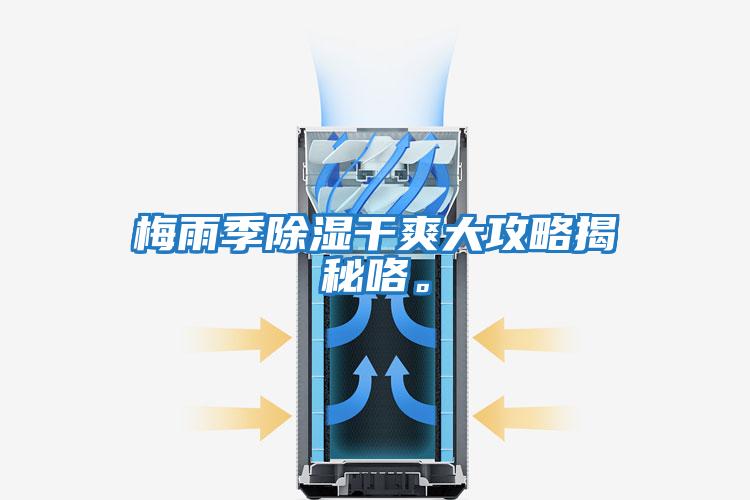 梅雨季除濕干爽大攻略揭秘咯。