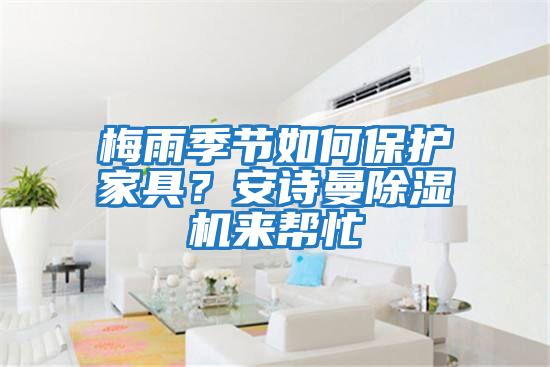 梅雨季節(jié)如何保護(hù)家具？安詩(shī)曼除濕機(jī)來幫忙