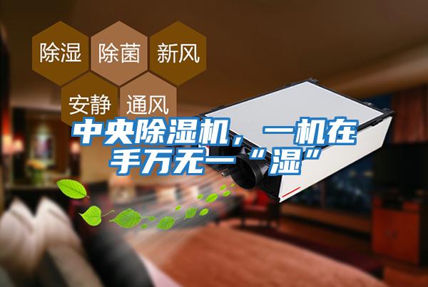 中央除濕機(jī),一機(jī)在手萬(wàn)無(wú)一“濕”