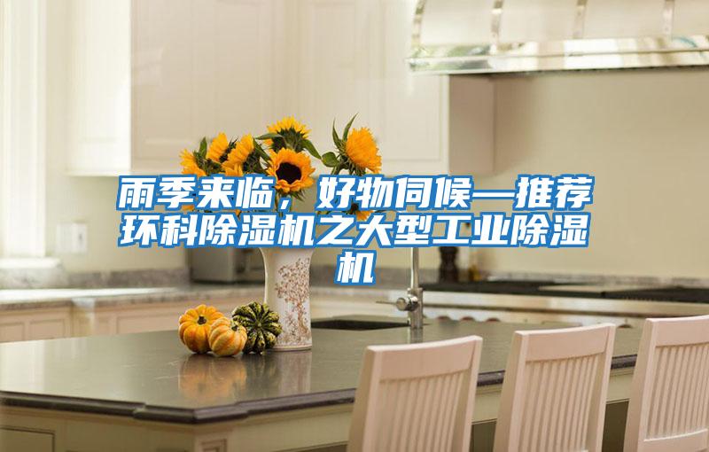 雨季來臨，好物伺候—推薦環(huán)科除濕機之大型工業(yè)除濕機