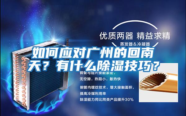 如何應(yīng)對廣州的回南天？有什么除濕技巧？