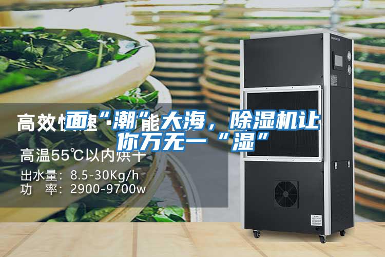 面“潮”大海，除濕機(jī)讓你萬無一“濕”