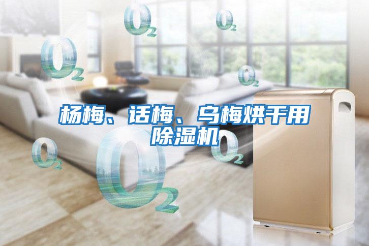 楊梅、話梅、烏梅烘干用除濕機(jī)