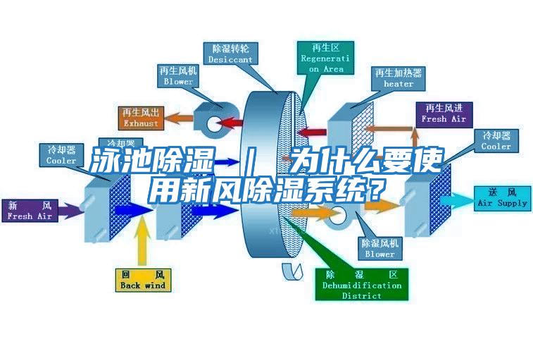 泳池除濕 ｜ 為什么要使用新風除濕系統？