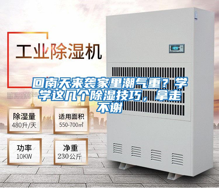 回南天來襲家里潮氣重？學學這幾個除濕技巧，拿走不謝