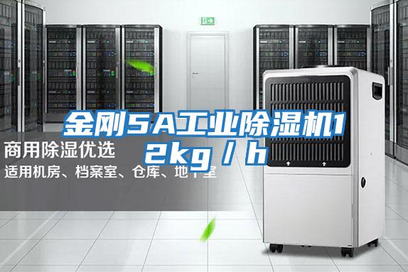 金剛5A工業(yè)除濕機12kg/h