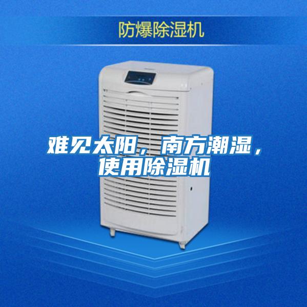 難見太陽，南方潮濕，使用除濕機
