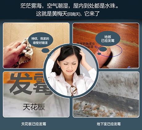 知否知否，國內十大除濕機品牌