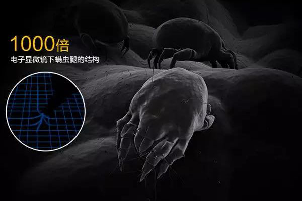 螨蟲高發季，家用除濕機除螨有妙計！_重復