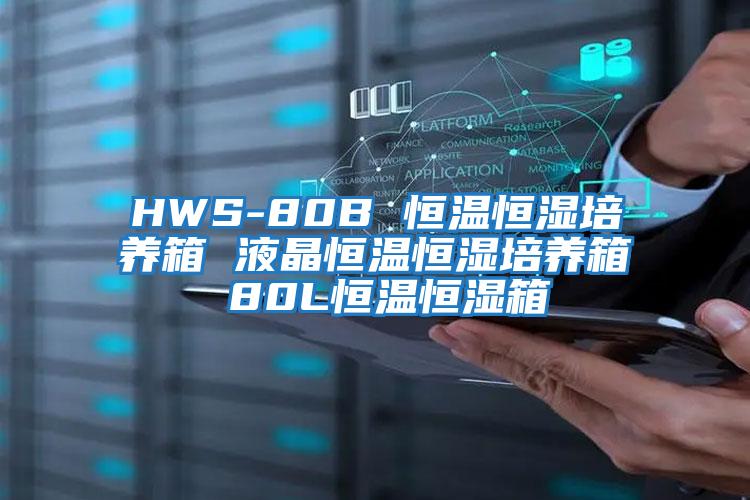 HWS-80B 恒溫恒濕培養箱 液晶恒溫恒濕培養箱 80L恒溫恒濕箱