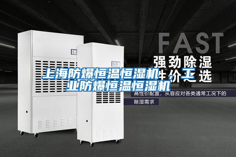 上海防爆恒溫恒濕機 ，工業防爆恒溫恒濕機