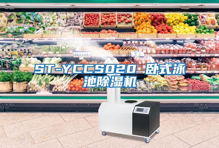 ST-YCCS020 臥式泳池除濕機