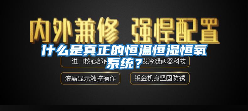 什么是真正的恒溫恒濕恒氧系統(tǒng)?
