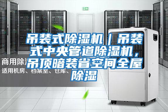 吊裝式除濕機|吊裝式中央管道除濕機,吊頂暗裝省空間全屋除濕