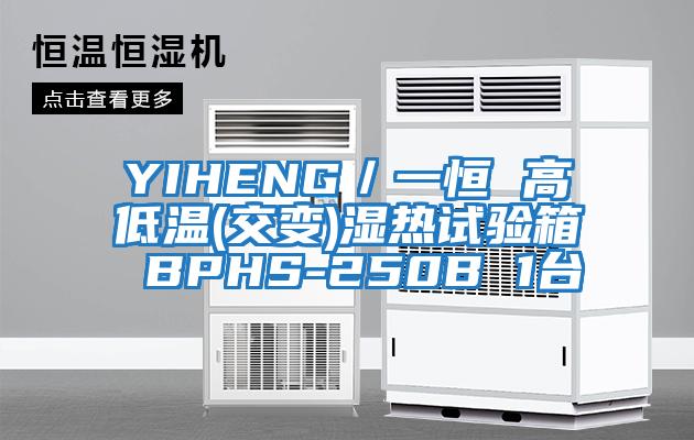 YIHENG/一恒 高低溫(交變)濕熱試驗(yàn)箱 BPHS-250B 1臺(tái)