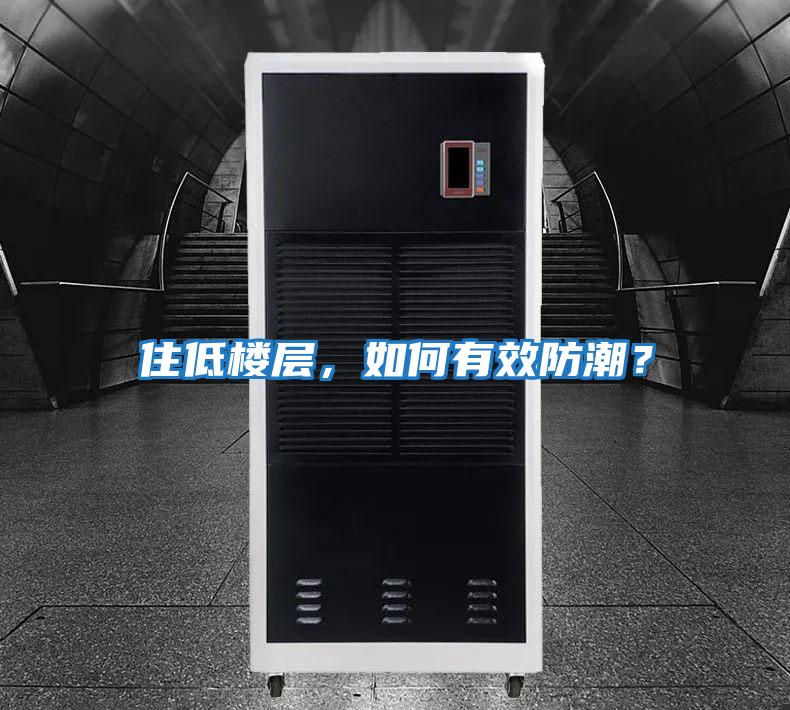 住低樓層，如何有效防潮？