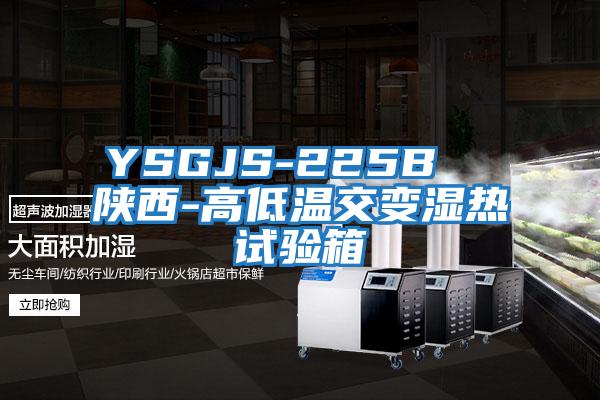 YSGJS-225B 陜西-高低溫交變濕熱試驗(yàn)箱