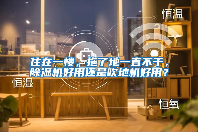 住在一樓，拖了地一直不干，除濕機好用還是吹地機好用？