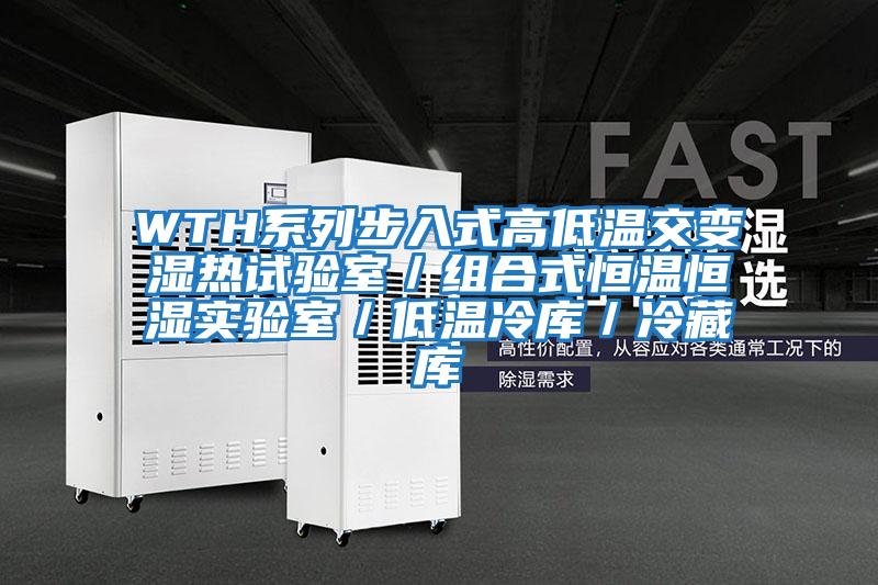 WTH系列步入式高低溫交變濕熱試驗室/組合式恒溫恒濕實驗室/低溫冷庫/冷藏庫