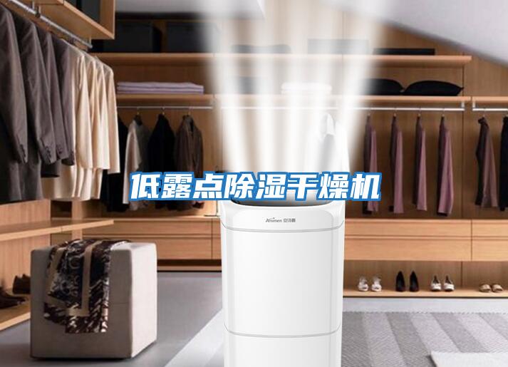 低露點除濕干燥機(jī)