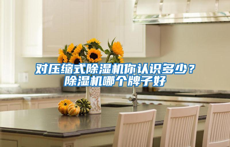 對壓縮式除濕機(jī)你認(rèn)識多少?除濕機(jī)哪個牌子好